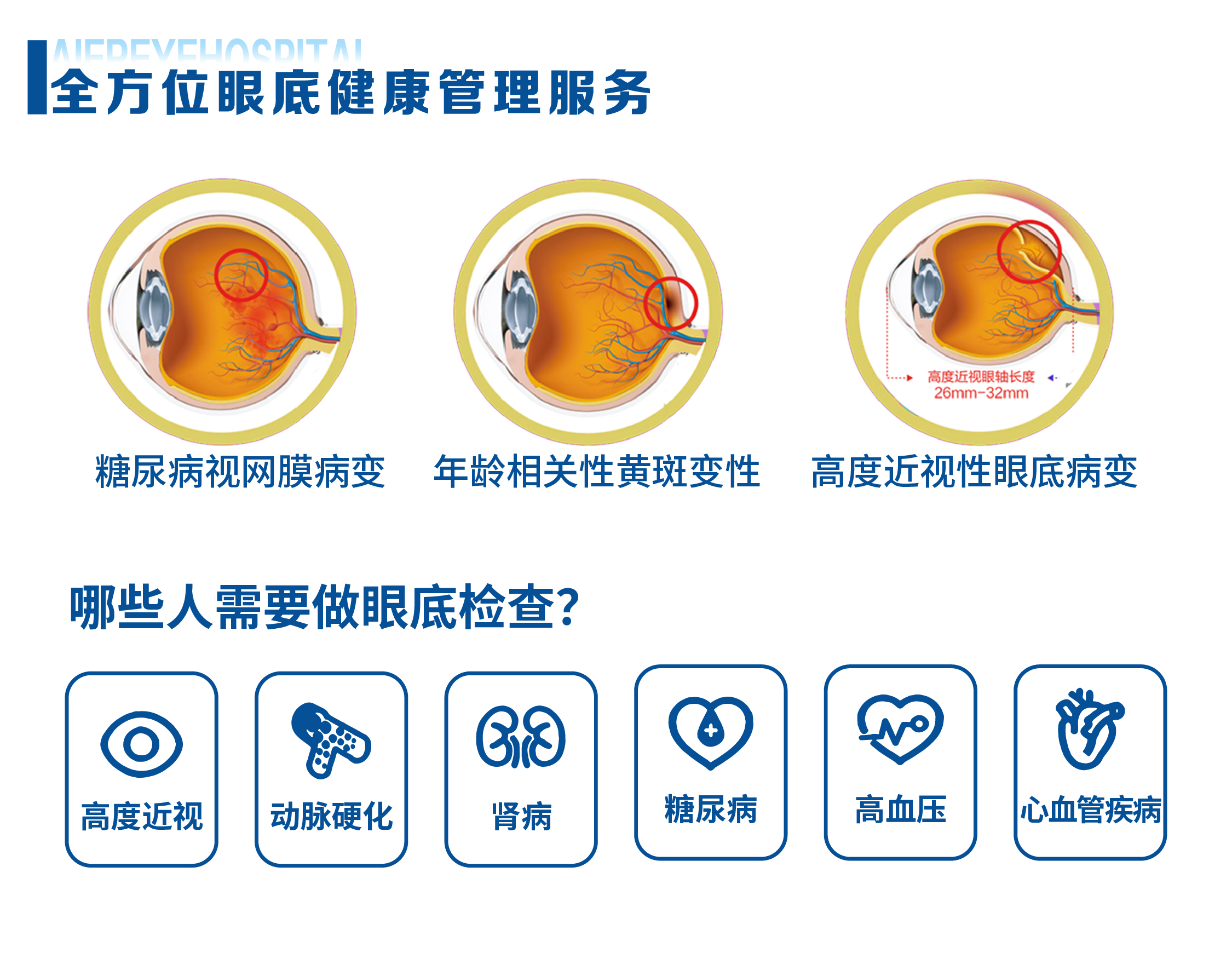 眼底外伤科 (3) 眼底外伤科 (3)